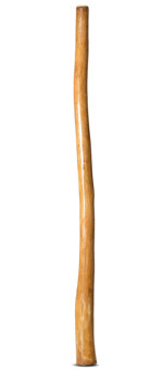Gloss Finish Didgeridoo (TW1312)